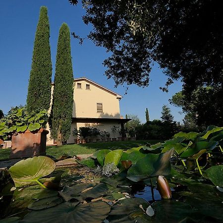 Agriturismo Le Vallette Bibbona Exterior photo