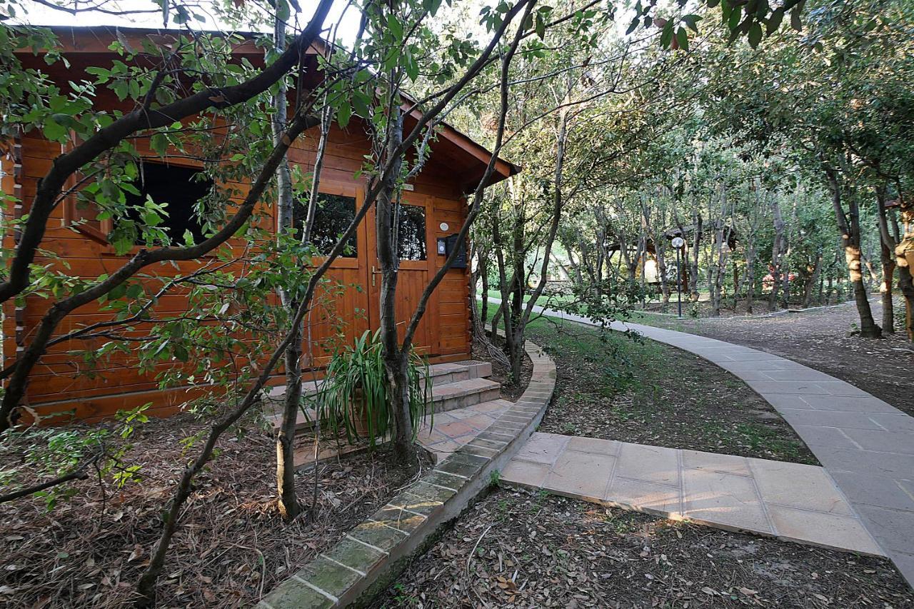 Agriturismo Le Vallette Bibbona Exterior photo